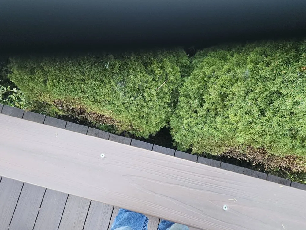 Custom landscape installation near you across Mount Pleasant, MI - Mc Lellan Lawn Care