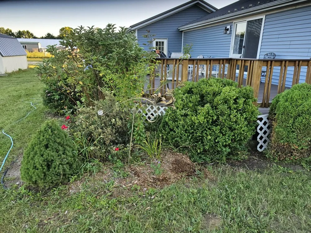 Expert landscape design with custom design in Mount Pleasant, MI by Mc Lellan Lawn Care