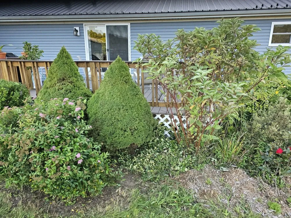 Local landscape installation in Mount Pleasant, MI - Mc Lellan Lawn Care