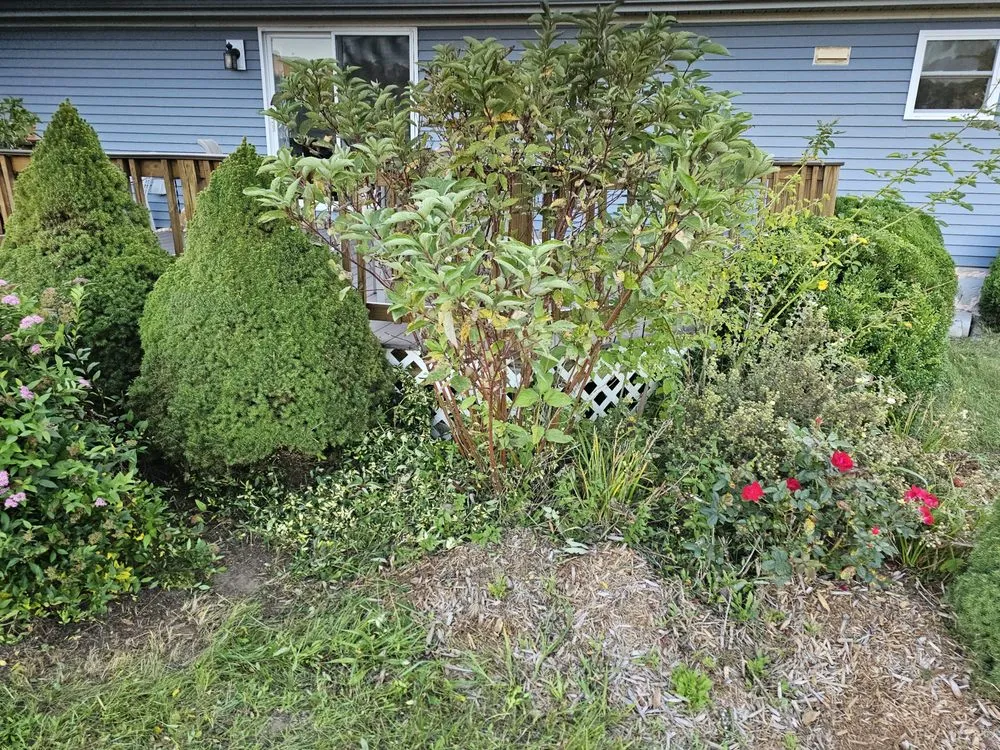 Reliable residential landscaping experts serving Mount Pleasant, MI - Mc Lellan Lawn Care