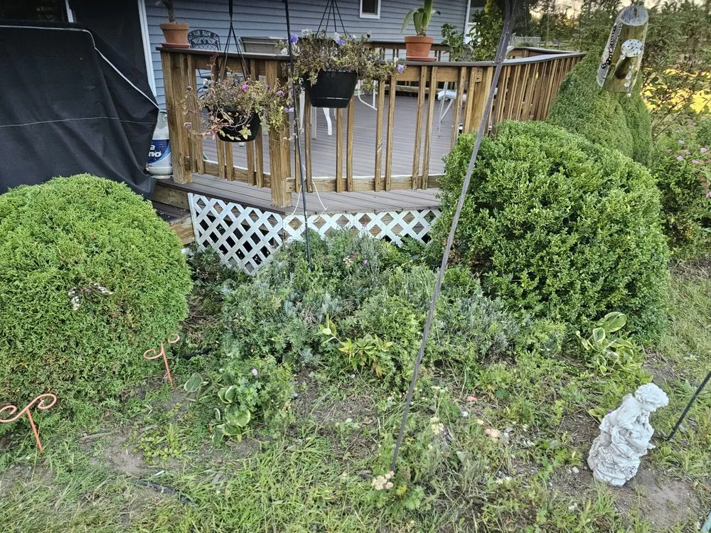 Affordable landscaping services in Mount Pleasant, MI by Mc Lellan Lawn Care