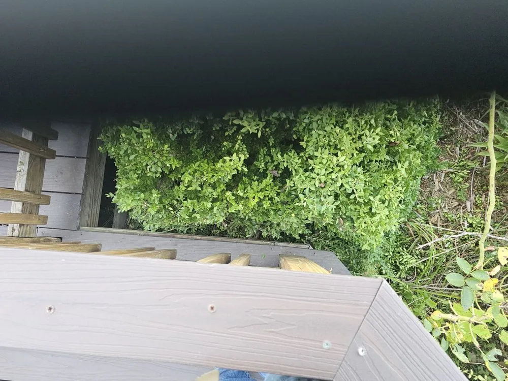 Expert landscaping services for homes across Mount Pleasant, MI - Mc Lellan Lawn Care