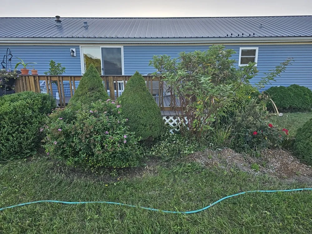 Professional landscape installation in Mount Pleasant, MI - Mc Lellan Lawn Care