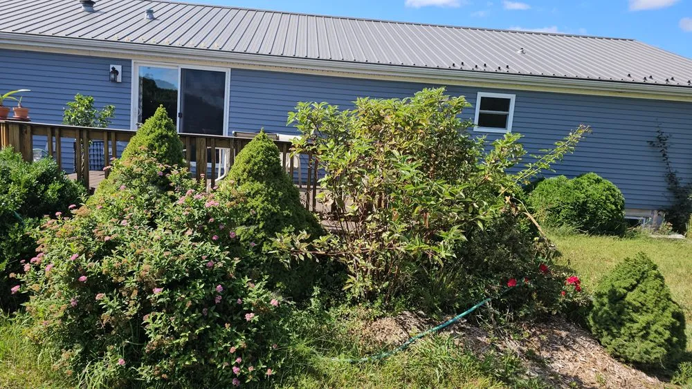 Top-rated lawn care service in Mount Pleasant, MI by Mc Lellan Lawn Care