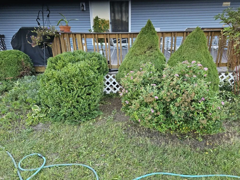 Local lawn care service in Mount Pleasant, MI by Mc Lellan Lawn Care