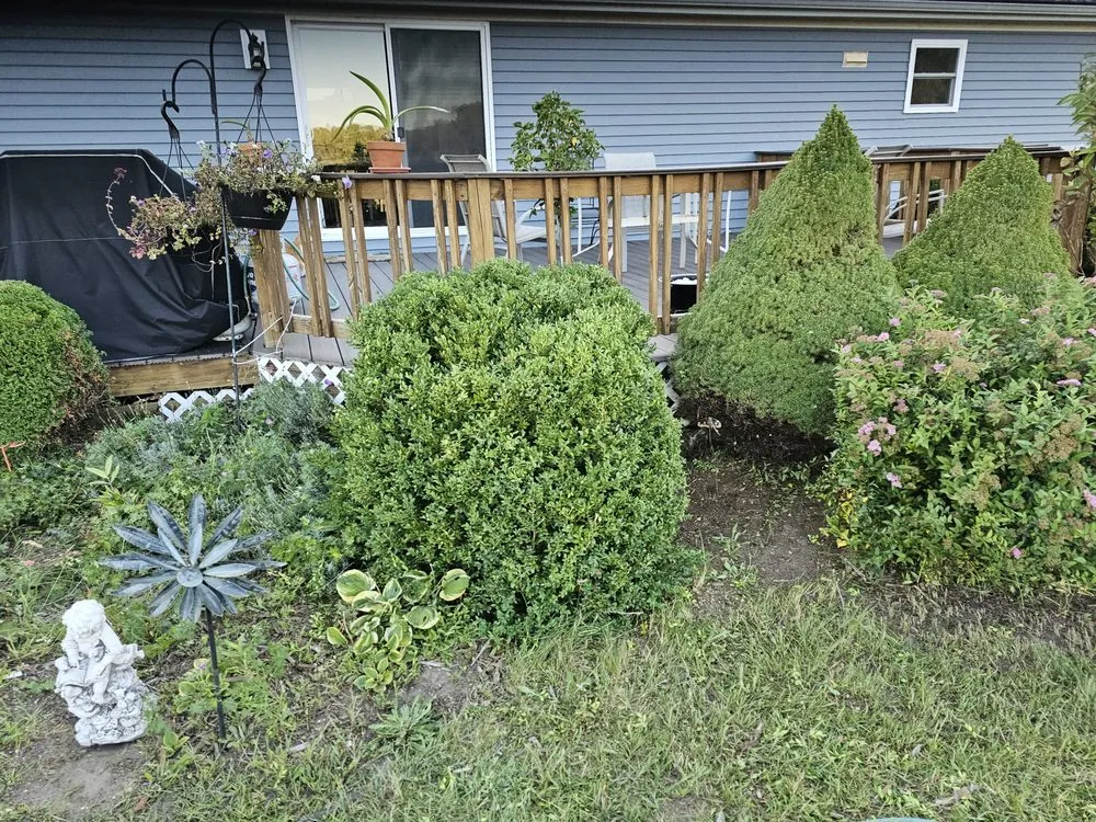 Reliable landscaping services experts serving Mount Pleasant, MI - Mc Lellan Lawn Care