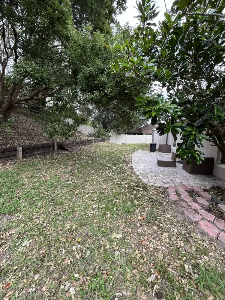 Reliable yard maintenance experts serving Minneola, FL - MC Mowing