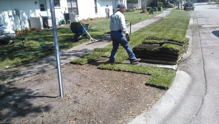 Custom yard maintenance in Miami, FL - MC Nature's Serve
