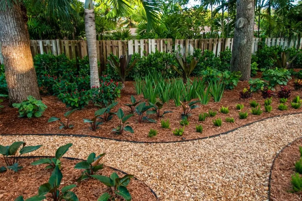 Local yard maintenance in Miami, FL - MC Nature's Serve