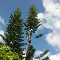 Custom yard cleanup service experts serving Miami, FL - MC Nature's Serve