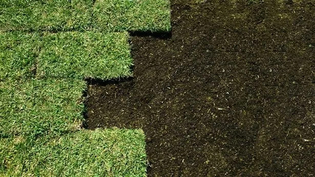 Custom landscaping services experts serving Miami, FL - MC Nature's Serve