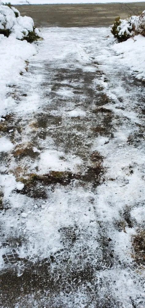 Affordable lawn care service near you across Pittsburgh, PA - MC Services & Shop