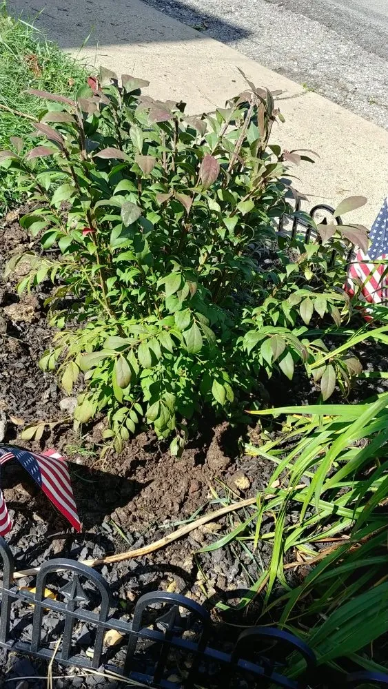 Expert outdoor landscaping experts serving Pittsburgh, PA - MC Services & Shop