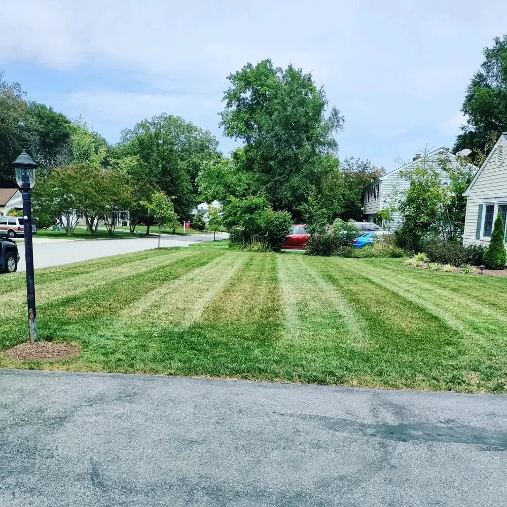 Reliable lawn mowing service for beautiful yards in Glen Burnie, MD by Mc Services