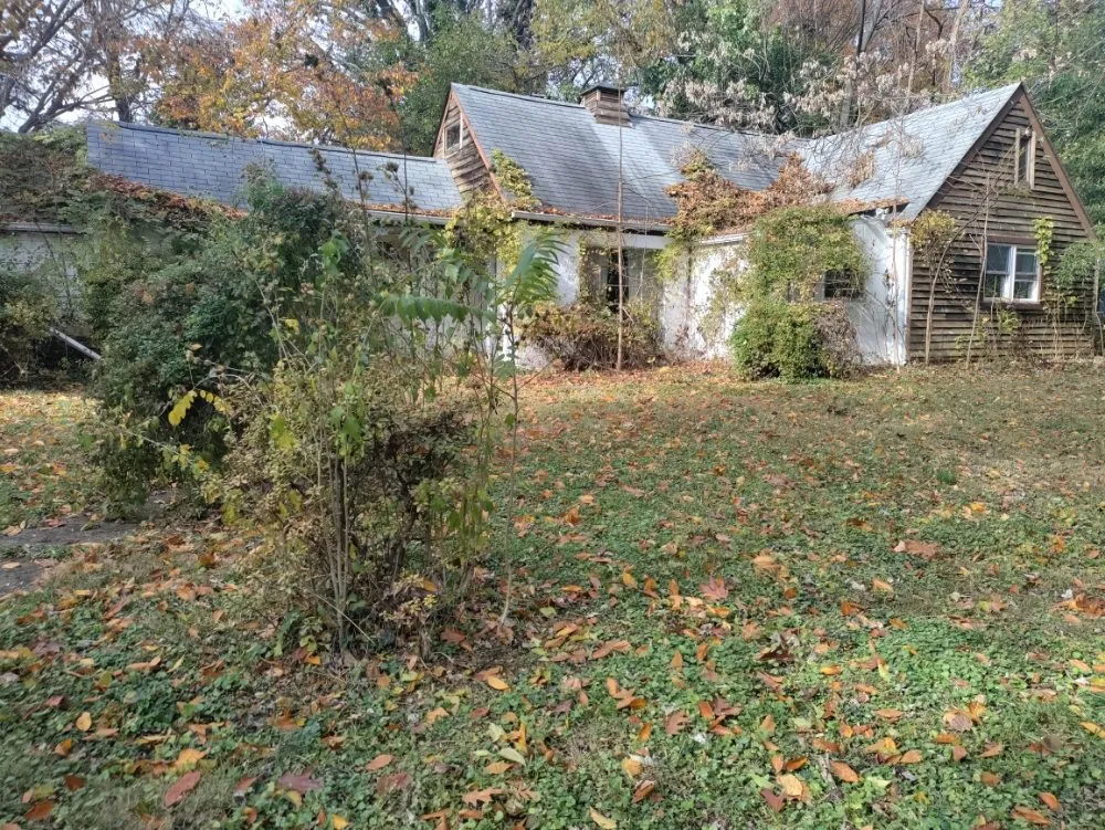 Trusted yard cleanup service in Glen Burnie, MD - Mc Services