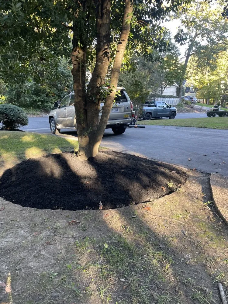 Local yard cleanup service in Midlothian, VA by Mc Services