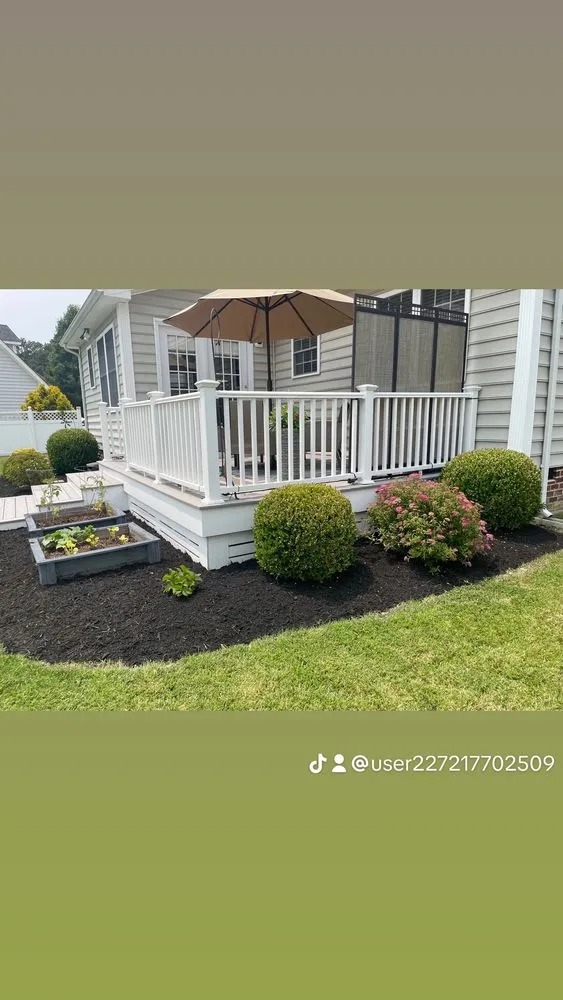 Local yard cleanup service in Midlothian, VA - Mc Services