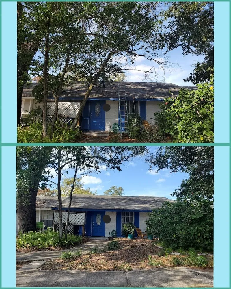 Trusted landscape design with custom design across Land O' Lakes, FL - MC Stumps