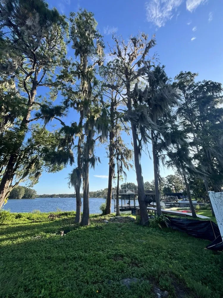 Reliable yard cleanup service in Land O' Lakes, FL - MC Stumps
