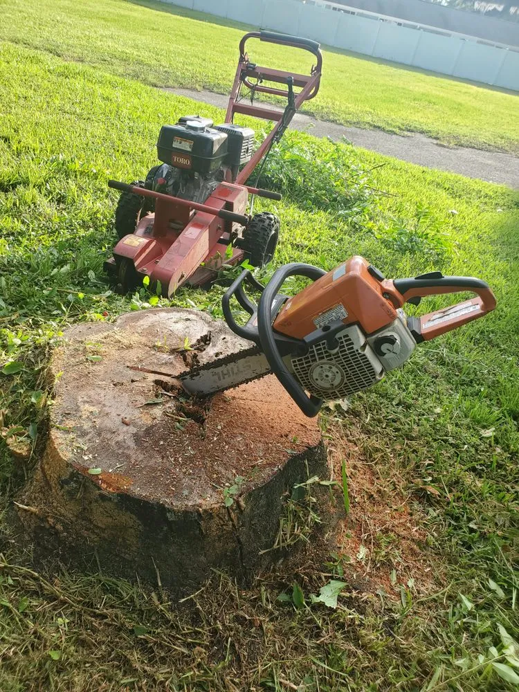 Affordable landscape installation in Land O' Lakes, FL - MC Stumps
