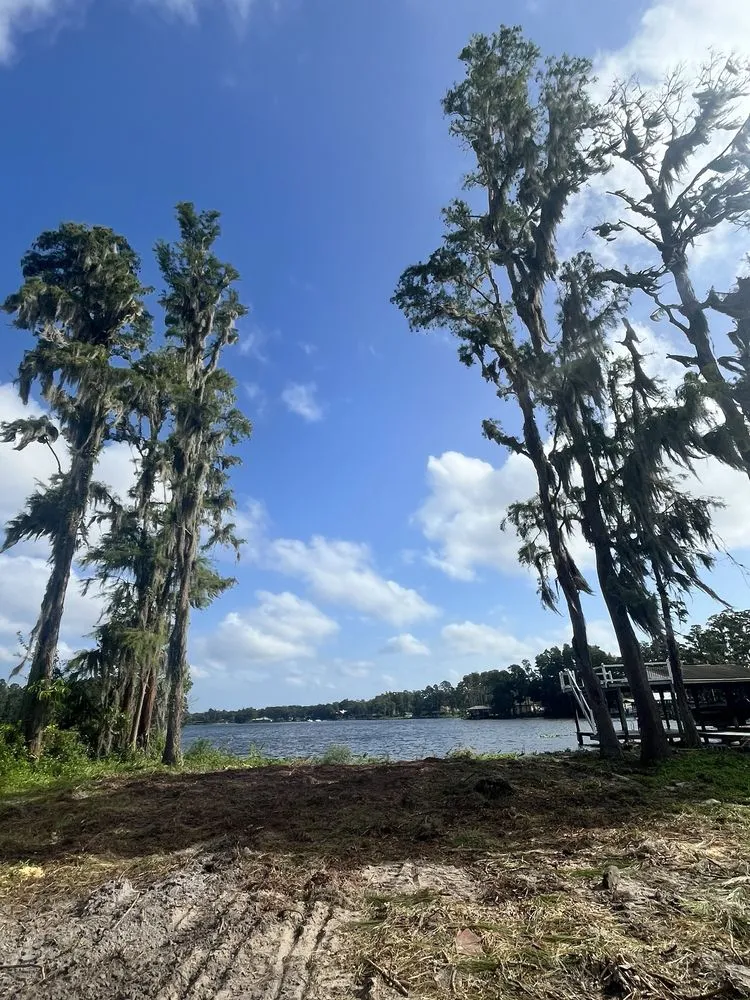 Reliable landscaping services experts serving Land O' Lakes, FL - MC Stumps