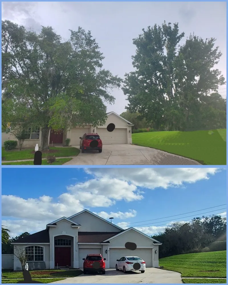 Affordable garden landscaping in Land O' Lakes, FL - MC Stumps