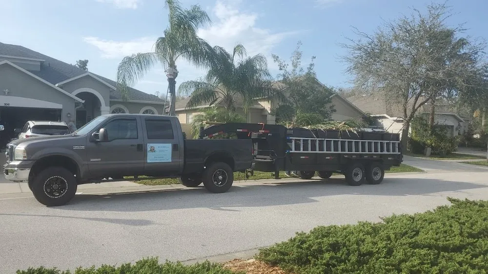 Expert yard maintenance for year-round maintenance across Land O' Lakes, FL - MC Stumps