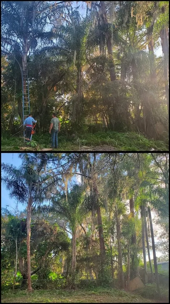 Local residential landscaping for outdoor upgrades across Land O' Lakes, FL - MC Stumps