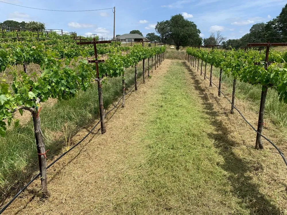 Affordable yard cleanup service with custom design across Valley Springs, CA - M&C Tractor and Trailer Services