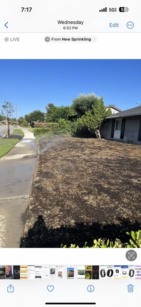 Trusted residential landscaping for homes across Orange, CA - MC Tree Experts