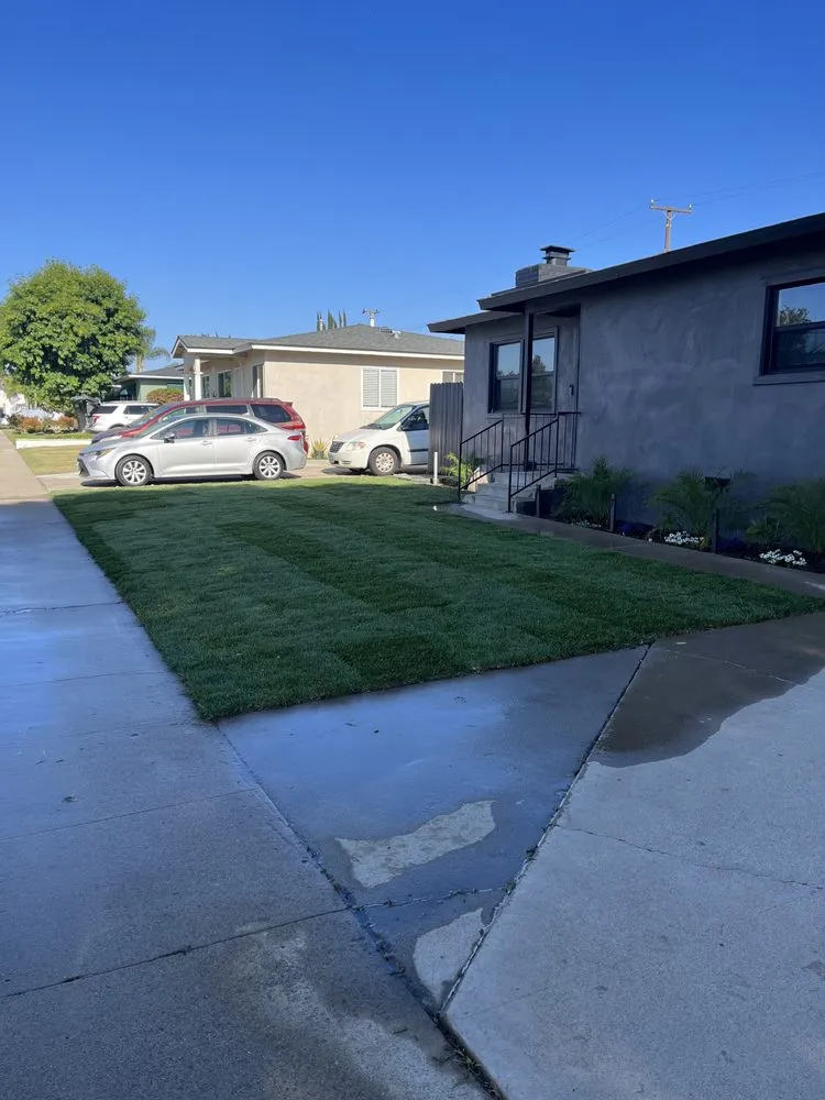 Top-rated landscape design near you across Orange, CA - MC Tree Experts