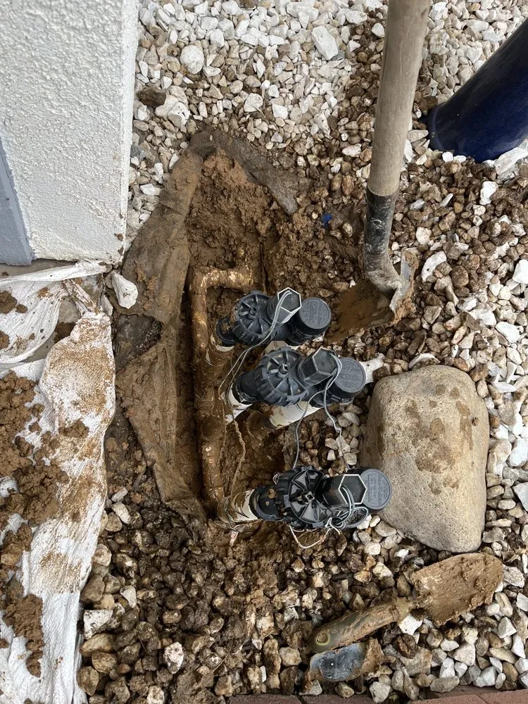 Expert landscaping services experts serving Orange, CA - MC Tree Experts