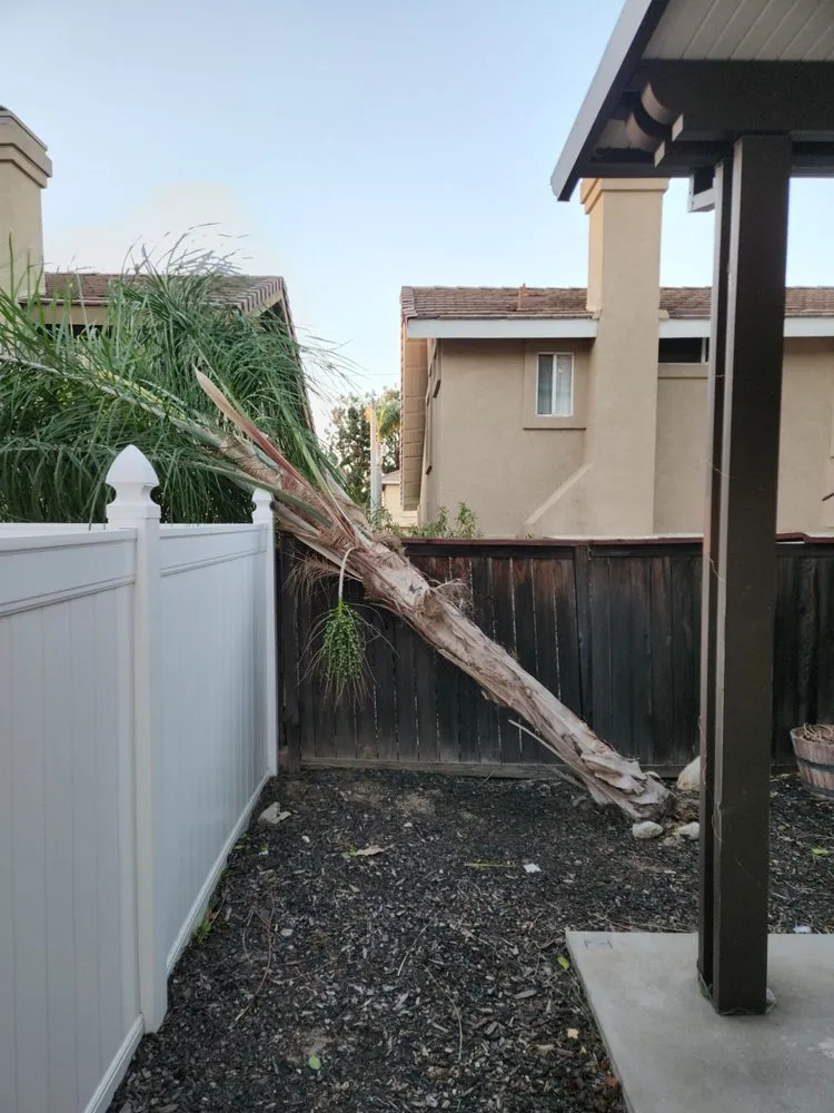 Professional outdoor landscaping experts serving Orange, CA - MC Tree Experts