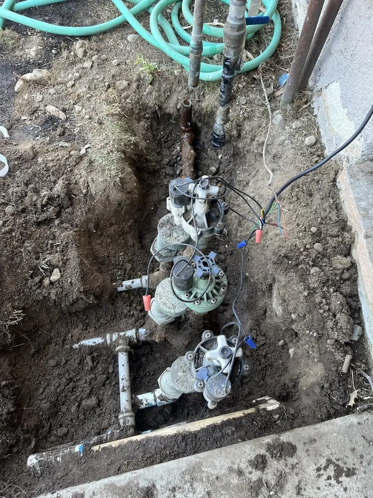 Trusted outdoor landscaping in Orange, CA - MC Tree Experts