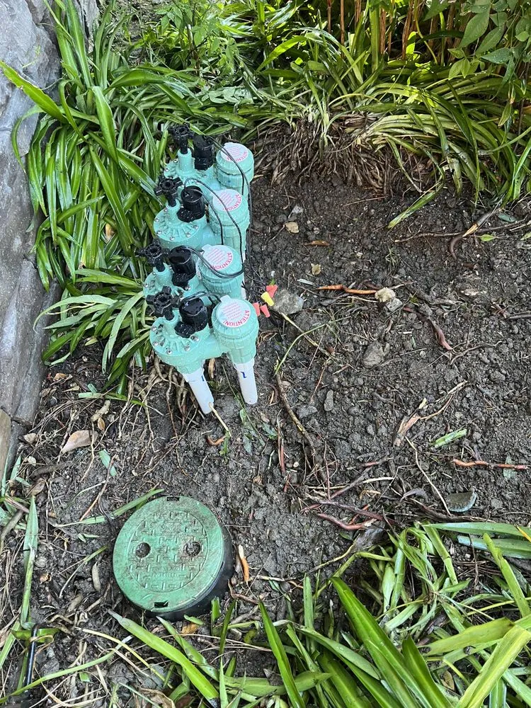 Expert garden landscaping for outdoor upgrades across Orange, CA - MC Tree Experts