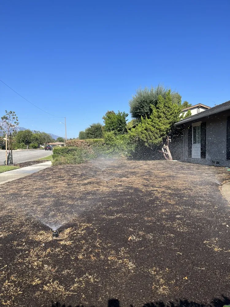 Local yard maintenance with custom design in Orange, CA by MC Tree Experts