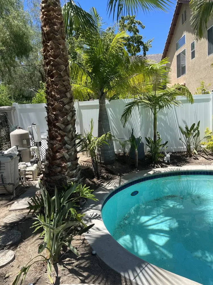 Expert lawn care service in Orange, CA - MC Tree Experts