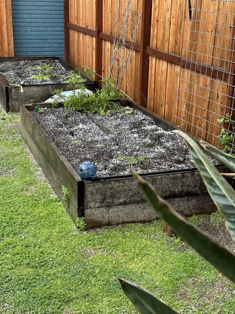 Expert residential landscaping in Orange, CA by MC Tree Experts