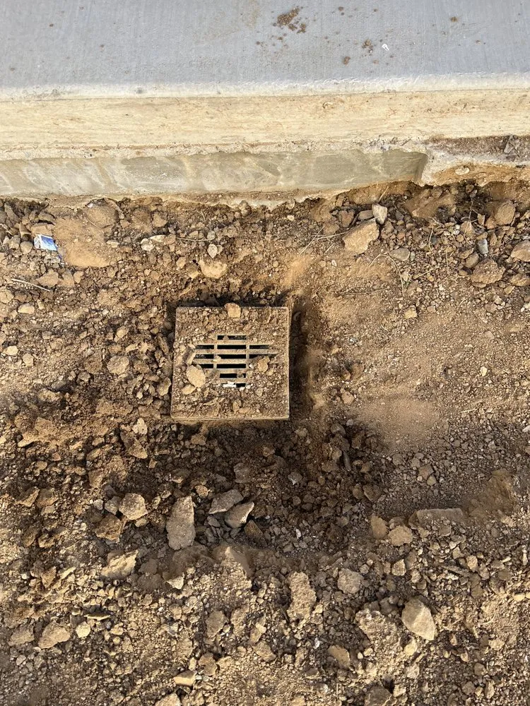 Affordable lawn care service experts serving Orange, CA - MC Tree Experts