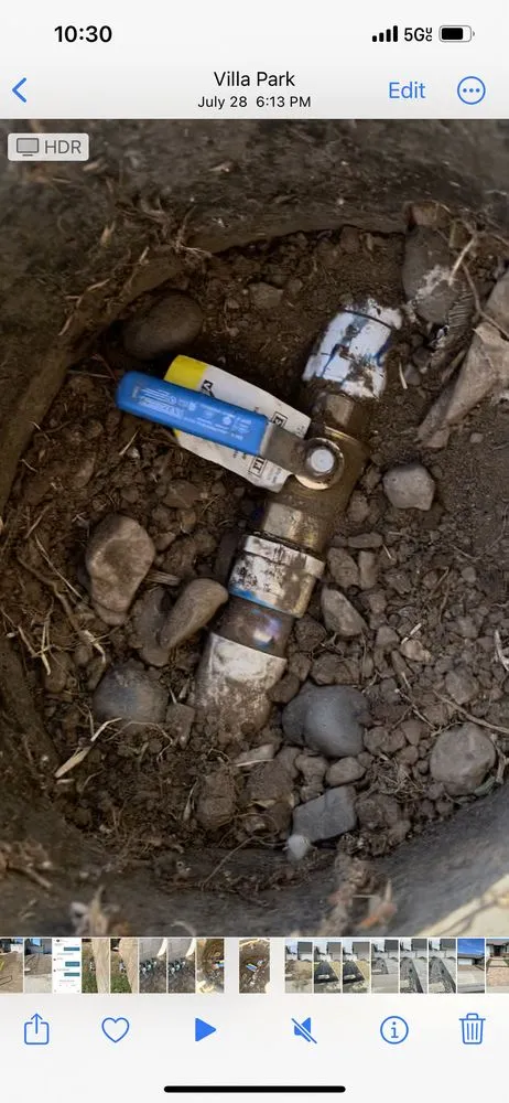 Local garden landscaping in Orange, CA - MC Tree Experts