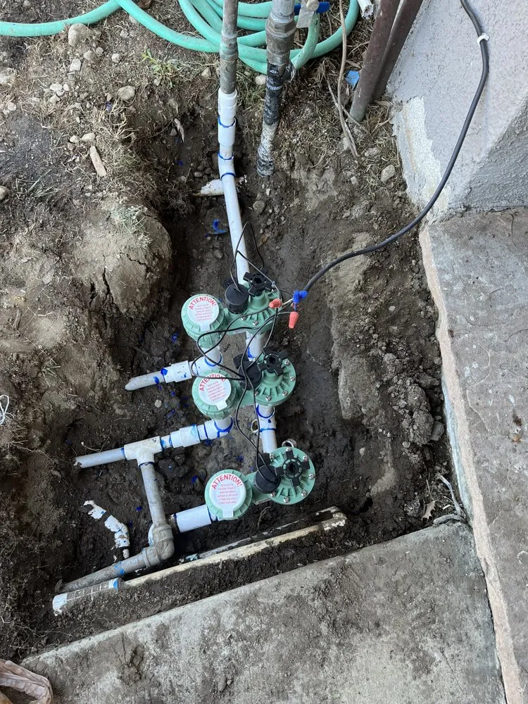 Custom landscape installation with custom design across Orange, CA - MC Tree Experts