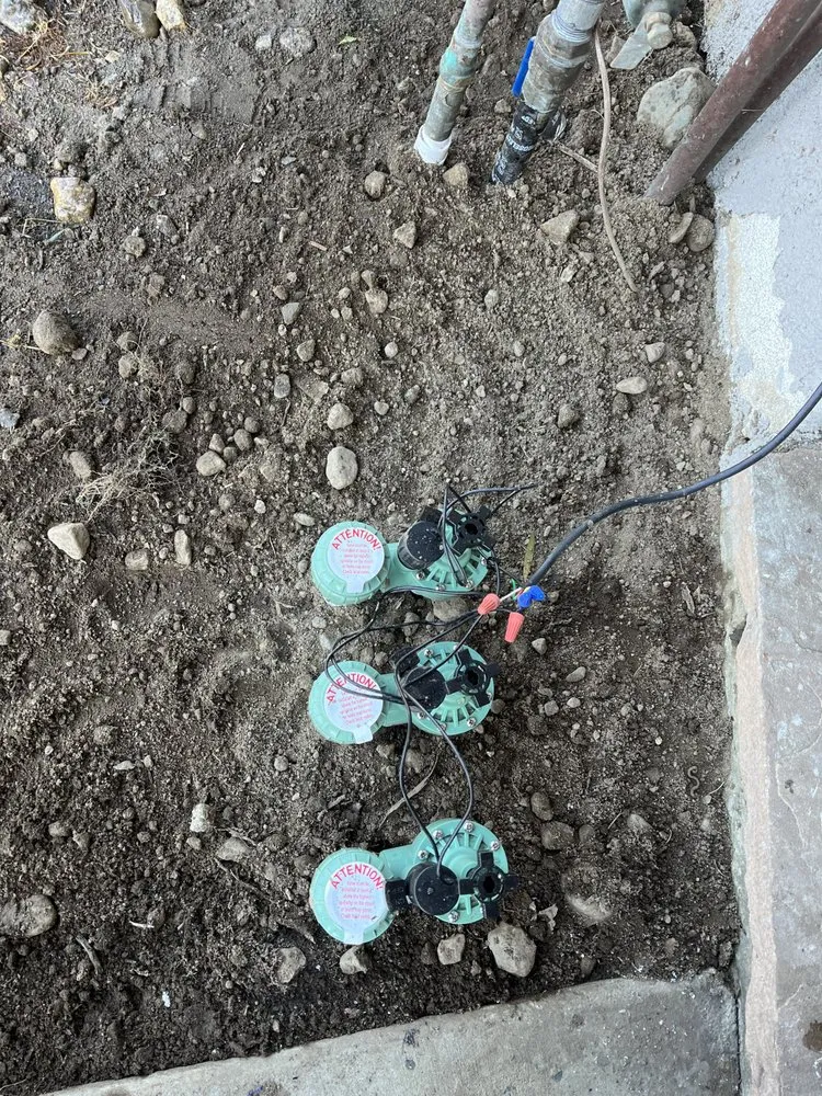 Local yard maintenance with custom design in Orange, CA by MC Tree Experts