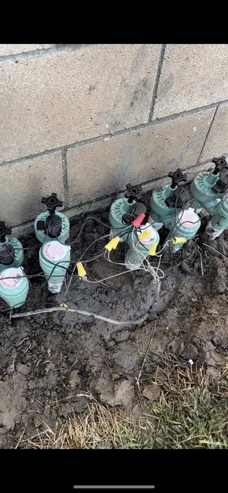 Custom yard cleanup service experts serving Orange, CA - MC Tree Experts