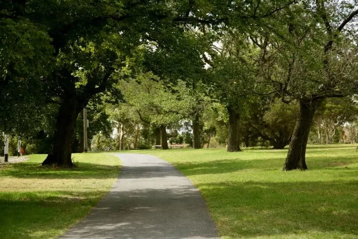 Expert landscape design in Forest City, NC - MC Tree Service & Landscaping