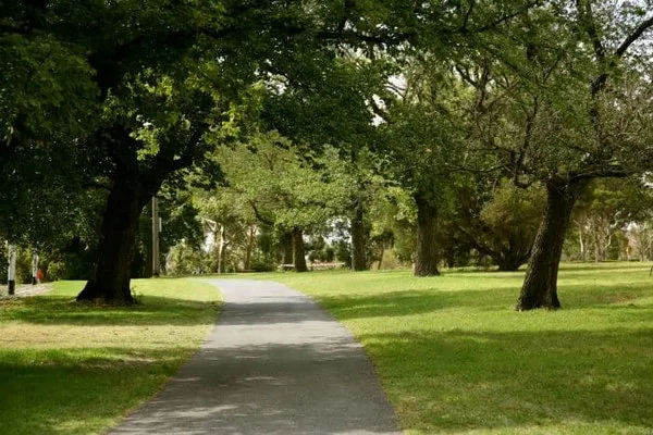 MC Tree Service & Landscaping