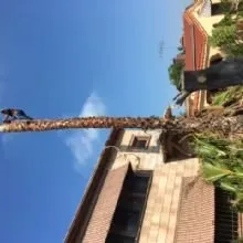 Custom landscaping services in Los Angeles, CA - MC Tree Service