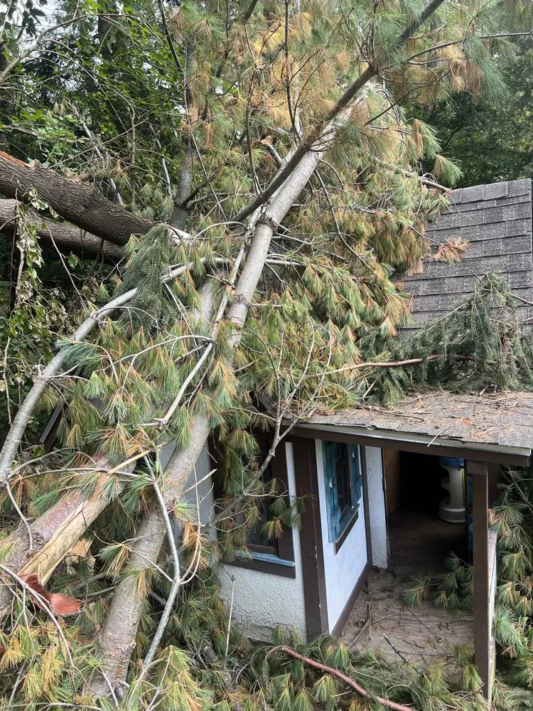 Professional yard cleanup service for homes in Lynn, MA by MC Tree Services and Landscaping