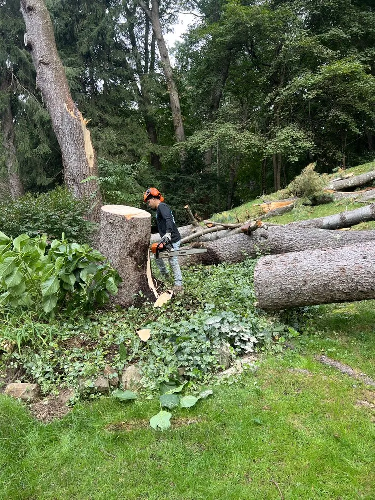 Local landscaping services in Lynn, MA by MC Tree Services and Landscaping