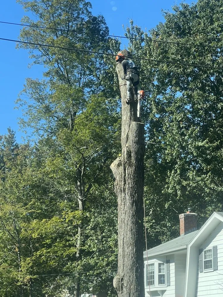 Expert lawn mowing service in Lynn, MA by MC Tree Services and Landscaping