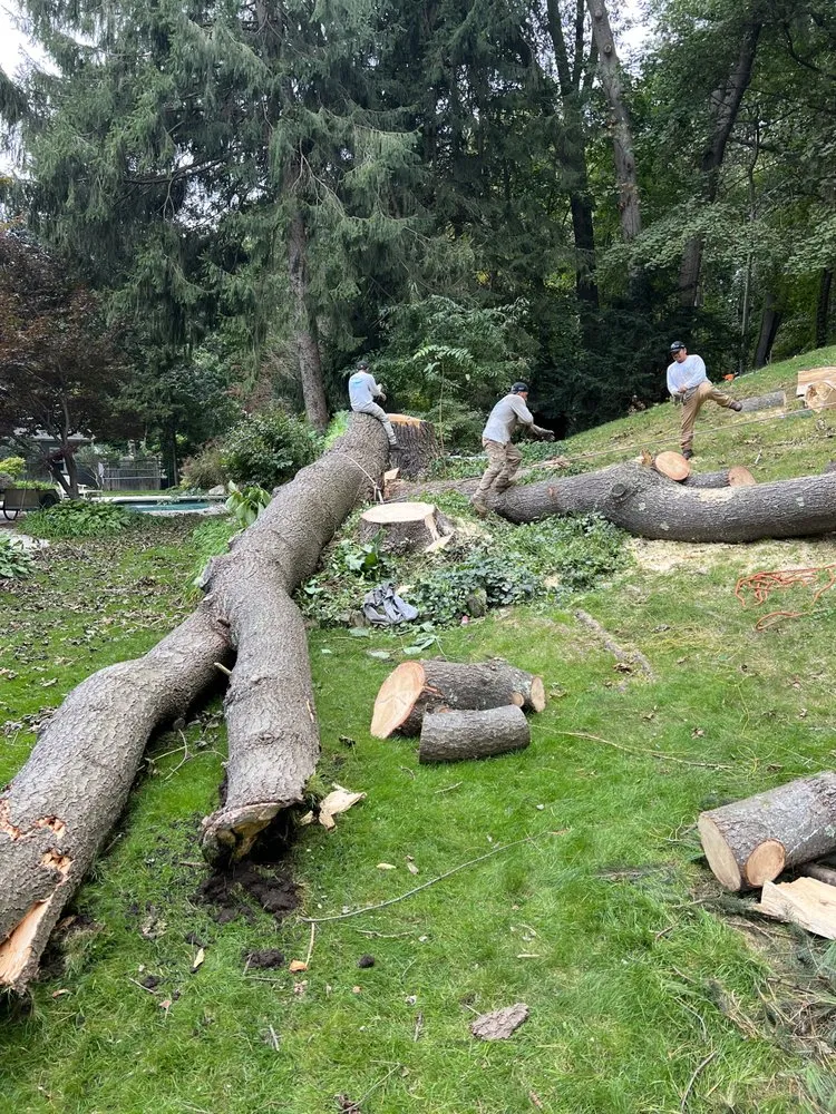 Professional outdoor landscaping for homes across Lynn, MA - MC Tree Services and Landscaping